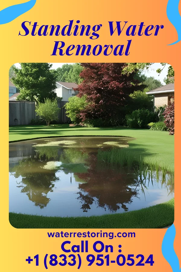 Standing Water Removal in Bent Creek, NC